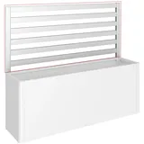 Biohort Rankgitter 398,3 x 91 x 4 cm Silber