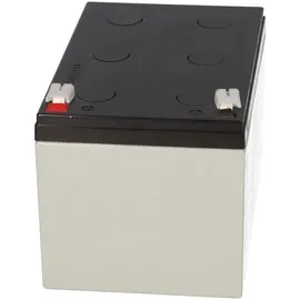 YUASA Blei-Akku REC14-12 12V 14Ah Zyklenfest, Faston 6,3mm