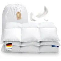 DREEMA Original ganzjahr Komfort Feder- und Daunendecke 155x220 | Extraweiche Feder- und Daunenfüllung | in Deutschland gefertigt | Downpass | All...