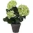 Mica decorations Mica Kunstpflanze Hortensie im Topf grün, 40 x 35 cm