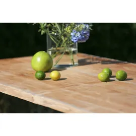Niehoff Solid Gartentisch 240 x 95 x 76 cm Grau