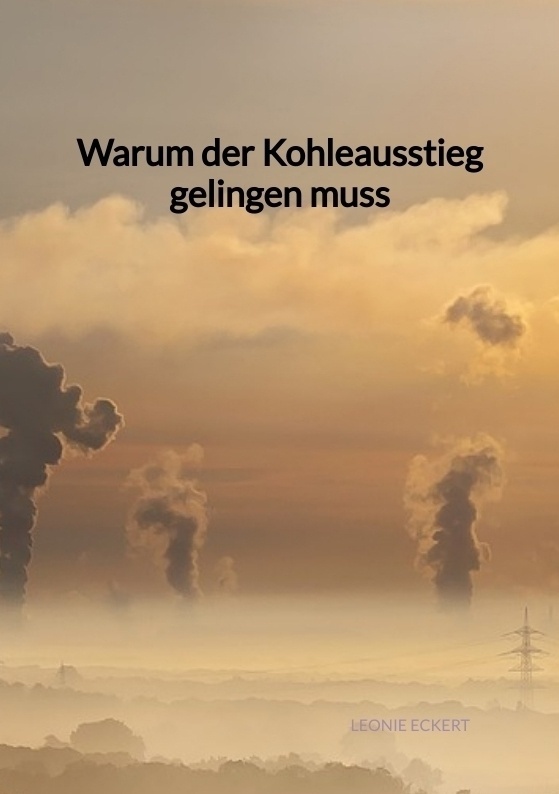 Warum Der Kohleausstieg Gelingen Muss - Leonie Eckert  Kartoniert (TB)