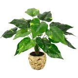 i.ge.a I.GE.A. Kunstpflanze Pothos im Wasserhyazinthentopf, ca. H40 cm, Grün