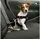Karlie Auto Sicherheitsgeschirr Hundegeschirr Schwarz L (50-70 cm)