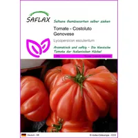 SAFLAX - Tomate - Costoluto Genovese - 10 Samen