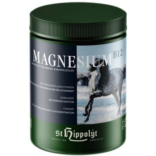 St. Hippolyt Magnesium B12 1 kg