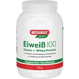 MEGAMAX Eiweiß 100 Cappuccino Pulver 750 g