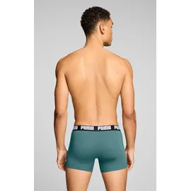Puma Everyday Basic Boxershorts emerald ice / schwarz L 2er Pack