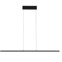 Licht-Erlebnisse Pendelleuchte RADLIN Schwarz Aluminium 1x LED 21 W