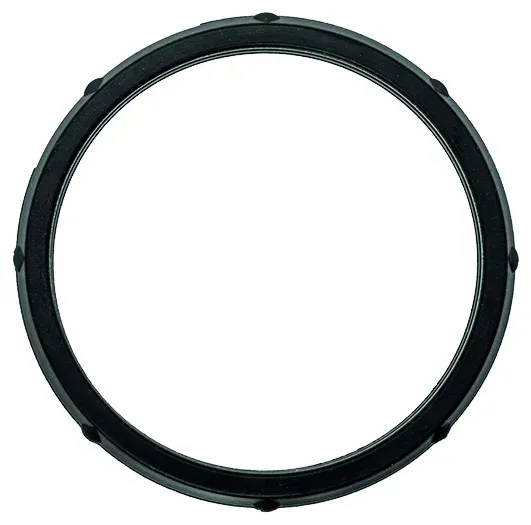 FACET Dichtung, Thermostat 79730 für TOYOTA