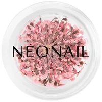 NeoNail Professional NEONAIL Spring Collection - The Muse In You - Flowers Kunstnägel & Nageldesign 2 g DRIED FLOWERS - PINK