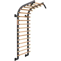 Sport-Thieme Sprossenwand X