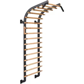 Sport-Thieme Sprossenwand X