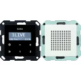 Gira Unterputz-Radio RDS 248100