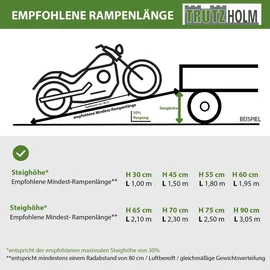 Trutzholm Auffahrrampe 226 cm 1360 kg klappbar Aluminium profiliert silber 2 St.