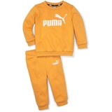 PUMA Minicats ESS Crew Baby-Jogginganzug 30 - desert clay 74