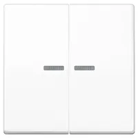 Jung Taster 2fach, BT A 17102 BF WW