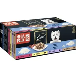 Cesar Mega Pack Portionsbeutel Senior 10+ in Gelee 4 Varietäten 40x100g