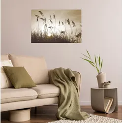 Wandsticker QUEENCE "Düne", beige, T:0,1cm, Folie, Wandtattoos, Selbstklebend, kinderleichte Anbringung