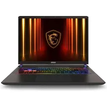 MSI Vector 16 HX AI A2XWIG-293 Intel Core Ultra 9 275HX 16 GB RAM 1 TB SSD RTX 5080