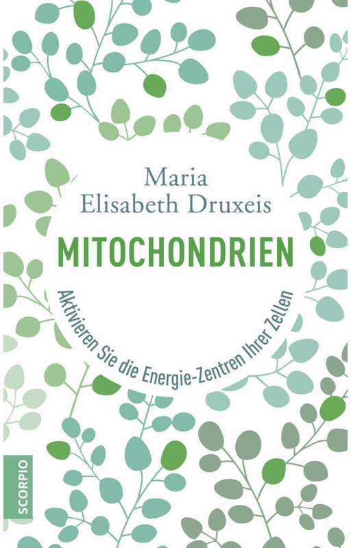 Mitochondrien - Maria E. Druxeis, Verena Zemme, Kartoniert (TB)
