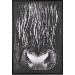 Canvas GALEATA Tiermotiv 63 x 99 cm Schwarz