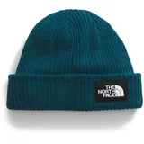 THE NORTH FACE Salty Dog gefütterte Beanie, Midnight Petrol, Einheitsgröße - Einheitsgröße