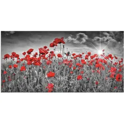 Wandbild ARTLAND "Idyllisches Mohnblumenfeld mit Sonne", schwarz (farbe bild(er): schwarz), B:60cm H:30cm, Bilder, als Alubild, Outdoorbild, Leinwandbild, Poster, Wandaufkleber