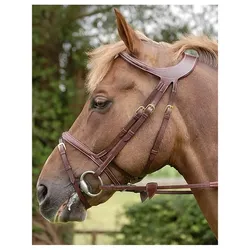 Dyon DCollection Trense Difference anatomisch
