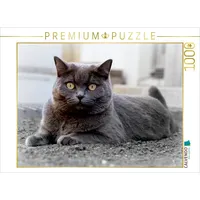 Calvendo Britischkurzhaar-Katze. Ein Motiv aus dem Kalender`"Graue Engel" Puzzle