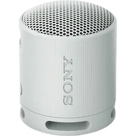 Sony SRS-XB100 grau
