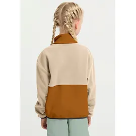 Jack Wolfskin Colorblock Taunus Halbreißverschluss-Sweatshirt Autumn Leaves 128