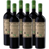 Doppio Passo Primitivo Puglia IGT Bio 2020 0,75 l