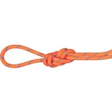 Mammut Alpine Sender Halbseil Fire/Blue