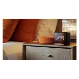 Philips TAR4600 schwarz