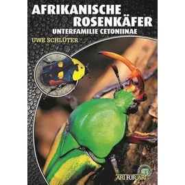 Natur und Tier Afrikanische Rosenkäfer