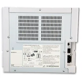 DNP DS-RX1HS