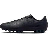 Nike Mercurial Vapor 16 Academy FG/MG Fußballschuhe Herren 002 black/black-deep jungle 36