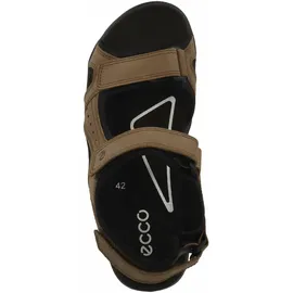 ECCO Onroads Herren cocoa brown/black 42