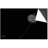 Induktionsschutz von Dietrix - Schutzmatte 83x51,5cm - Pusteblume Schwarz Weiß - Base - Für Induktionskochfeld/Induktionsherd - Herdabdeckung Ceranfeld - Helle Unterseite - Herdabdeckplatte