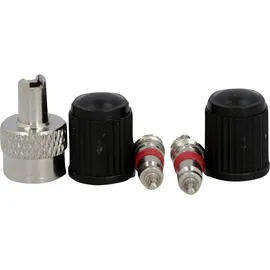Fischer Fahrrad-Ventil-Set Auto 5-teilig - Bunt
