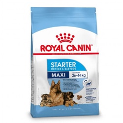 Royal Canin Maxi Starter Hundefutter 2 x 15 kg