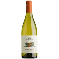 Teruzzi Bianco di Toscana Terre di Tufi IGT 2021 0,75 l