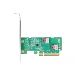 Delock Speicher-Controller - U.2 NVMe - Low-Profile