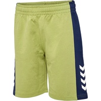 Hummel Rush Block Kurze Hose - Green Olive 134