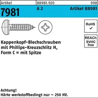 Industrial Quality Supplies Kappenkopfblechschraube 3,9 x 25 500 Stück
