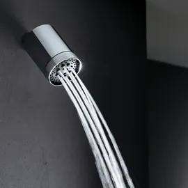 Herzbach Wand-Regenbrause SPOT Ø 10,2 cm (11.044286.1.01)