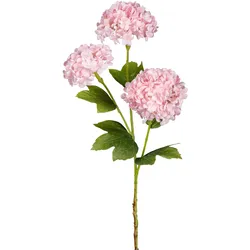 Deko-Zweig 61cm SCHNEEBALL - rosa & pink