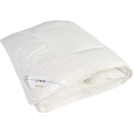 Traumschloss Faserbettdecke Premium Bettdecke Microfaser Polyesterfaser - weiß,Mono-Bett,135x200,normal
