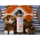 Tierfee Teppich und Polsterreiniger 500 ml